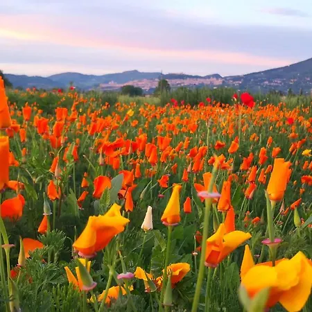 Patrimonio Unesco - Centro Storico 公寓 *